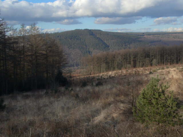 Afan Forest Park places to visit South Wales